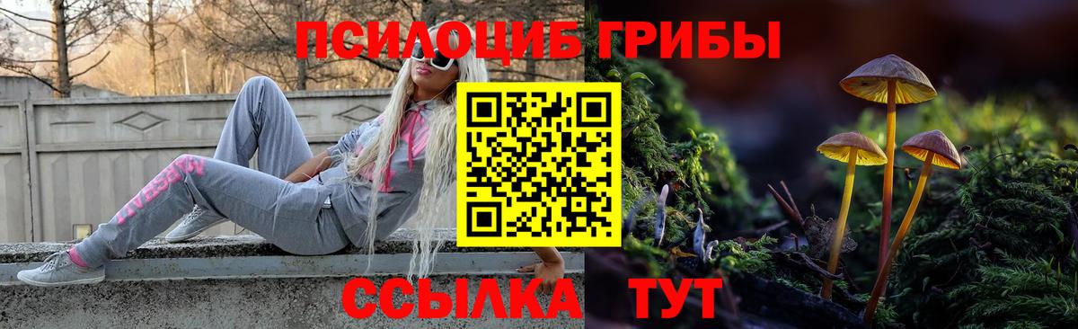 Шуя  Галлюциногенные грибы Psilocybine cubensis  Вход с VPN 